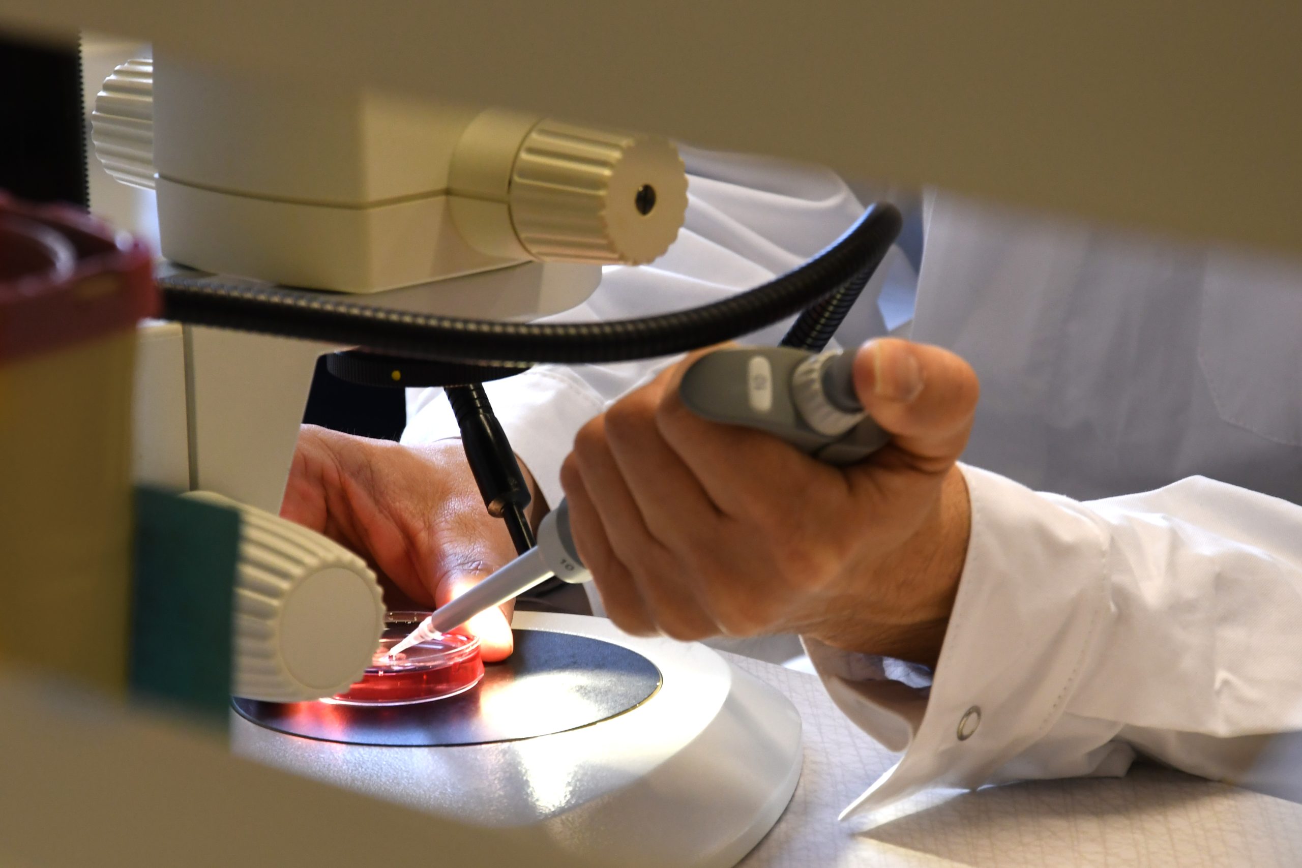 Forskning rekordutdelning